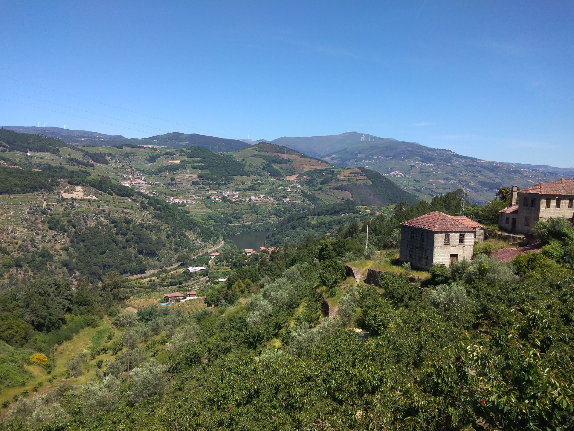 Paisagens do Douro. Estefani Ribeiro 2024