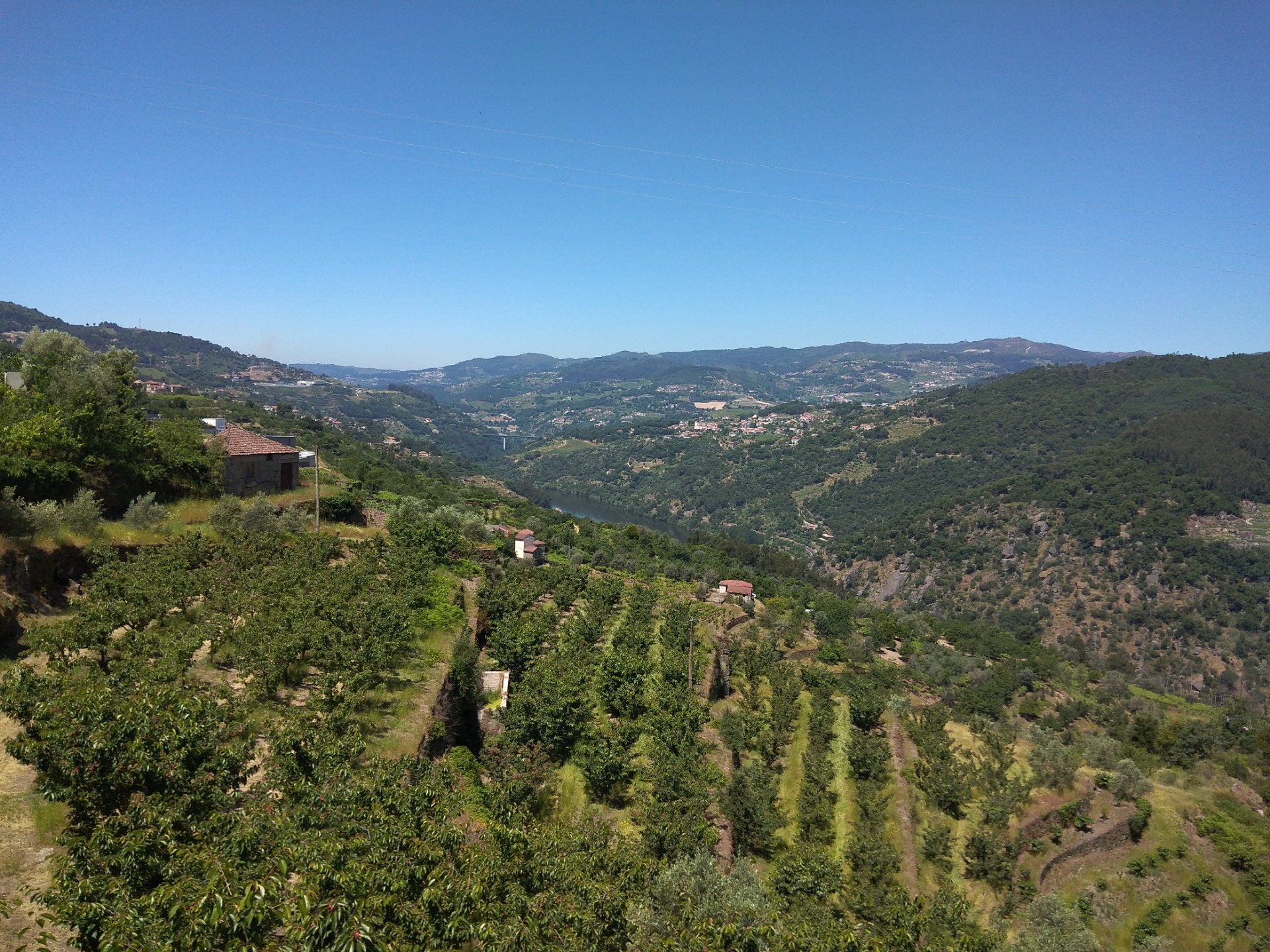 Horizontes do Douro. Estefani Ribeiro 2024