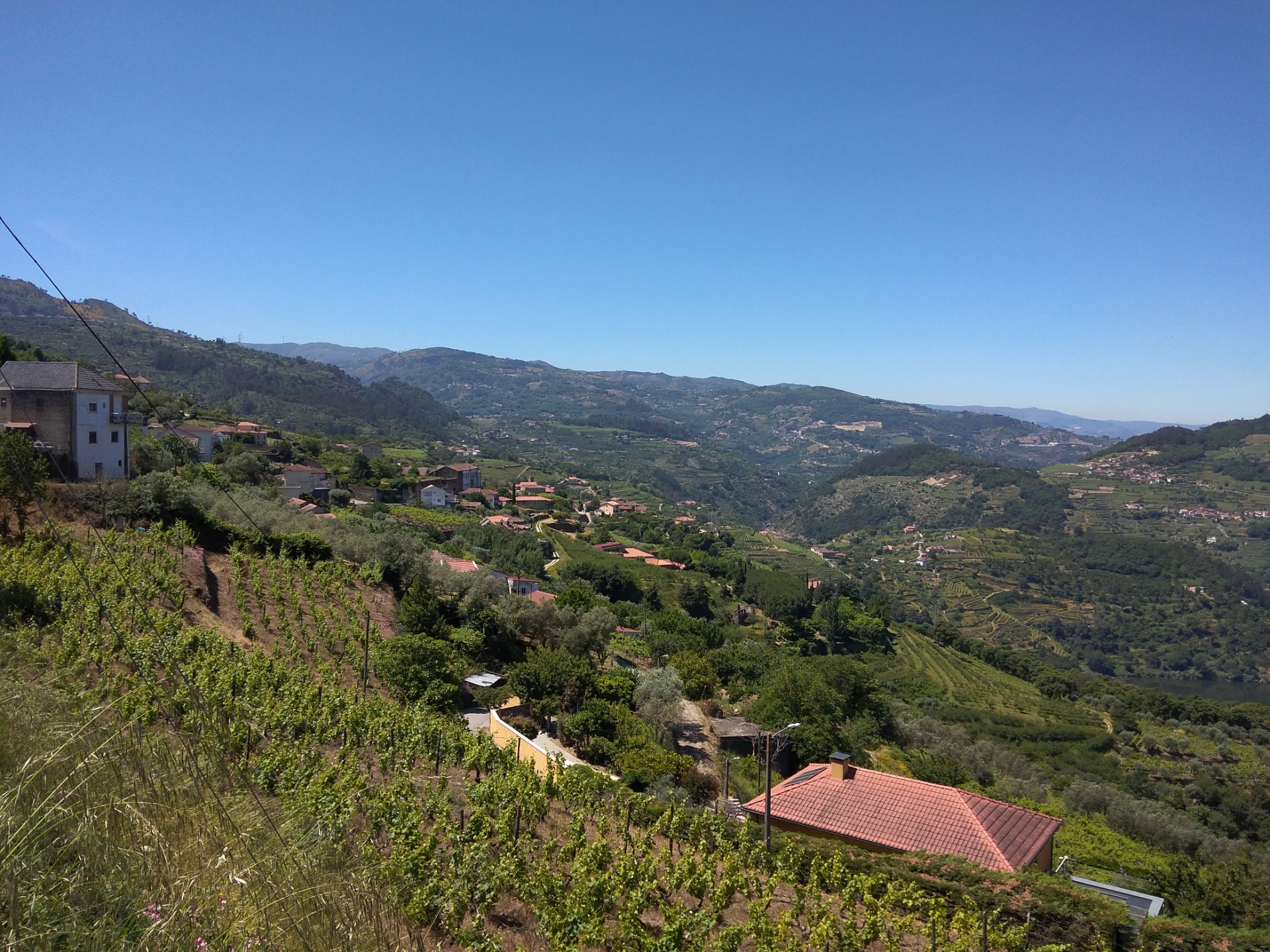 Esplendor Natural do Vale do Douro. Estefani Ribeiro 2024