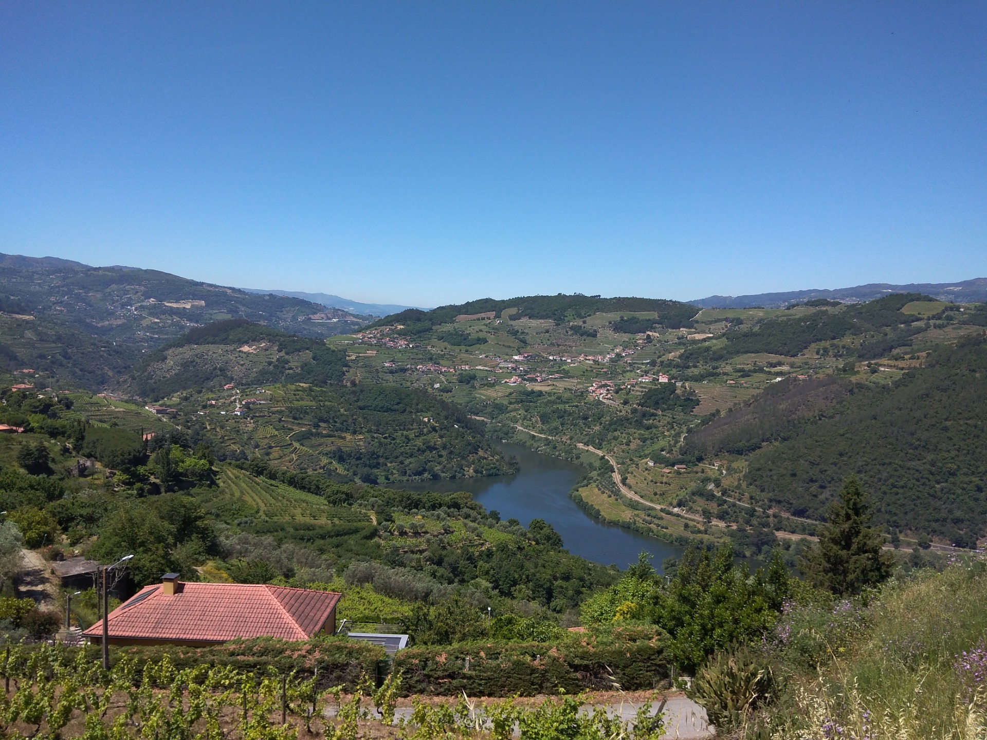 O Encanto do Douro ao Longo do Rio Serpenteante. Estefani Ribeiro 2024