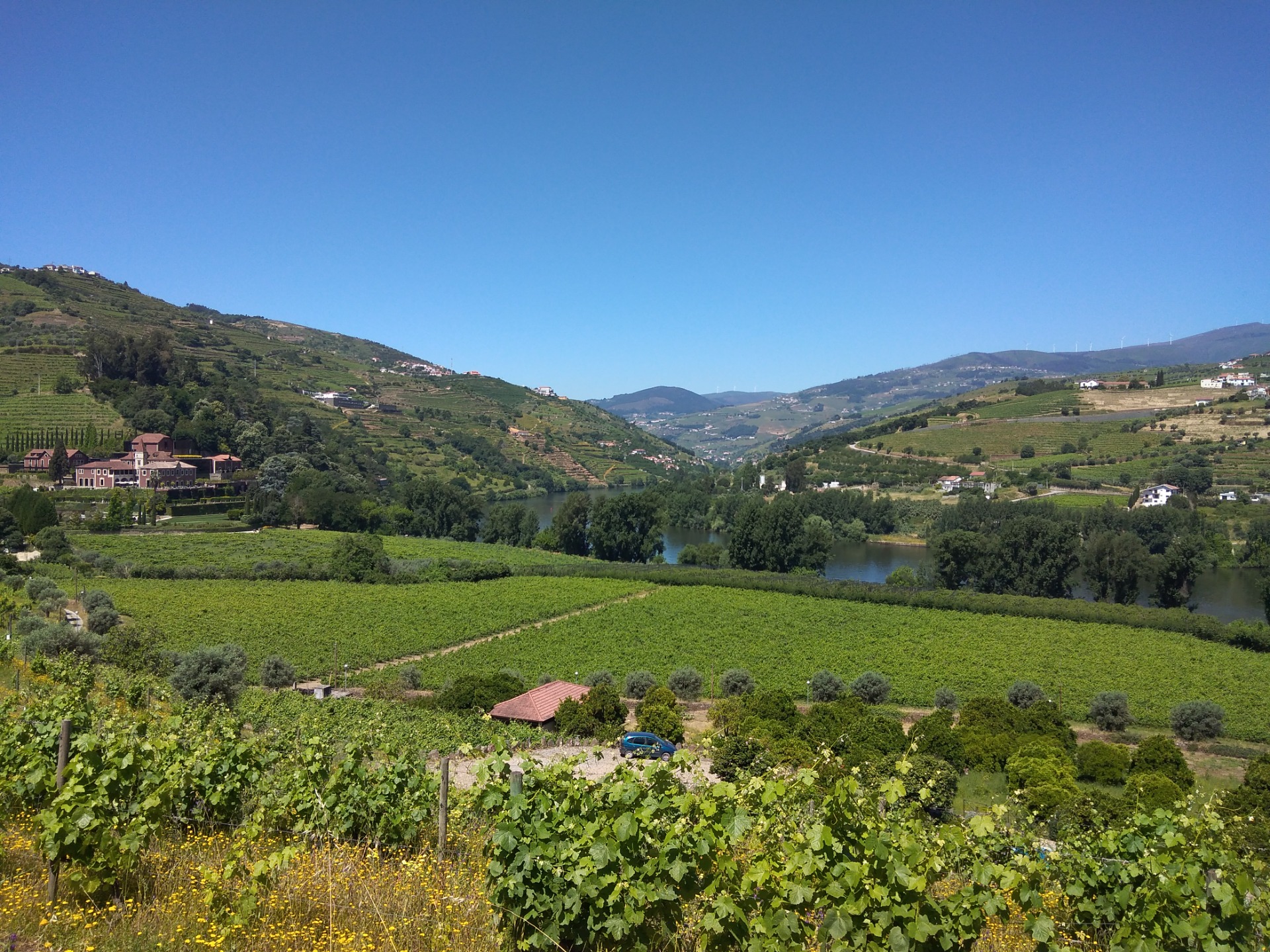 Vinhas e Rio Douro sob um Céu Azul. Estefani Ribeiro 2024