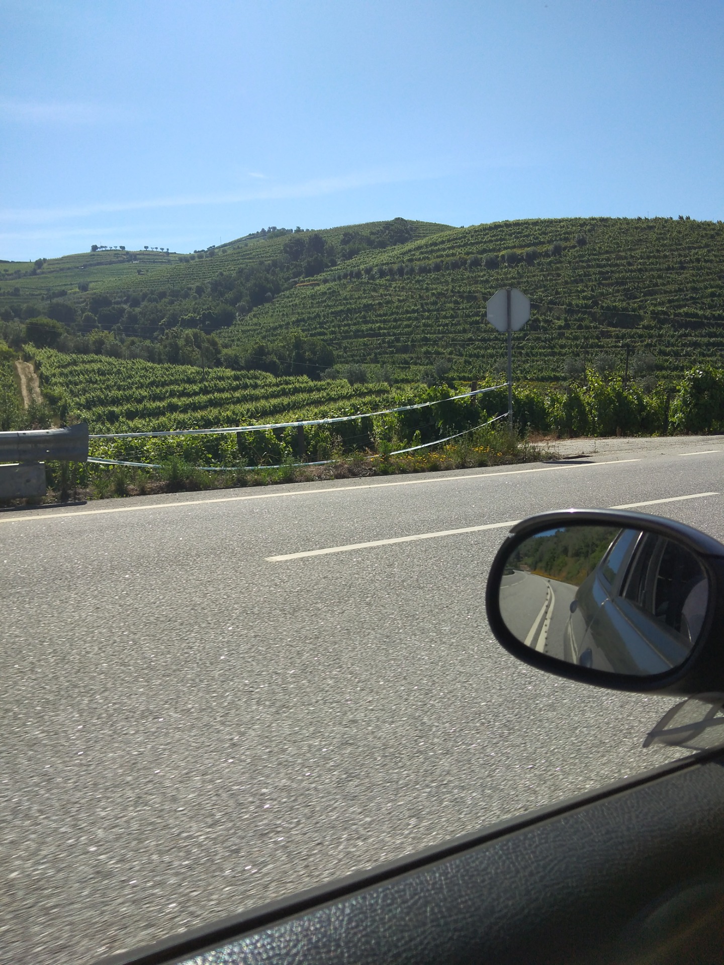 Estradas do Douro. Estefani Ribeiro 2024