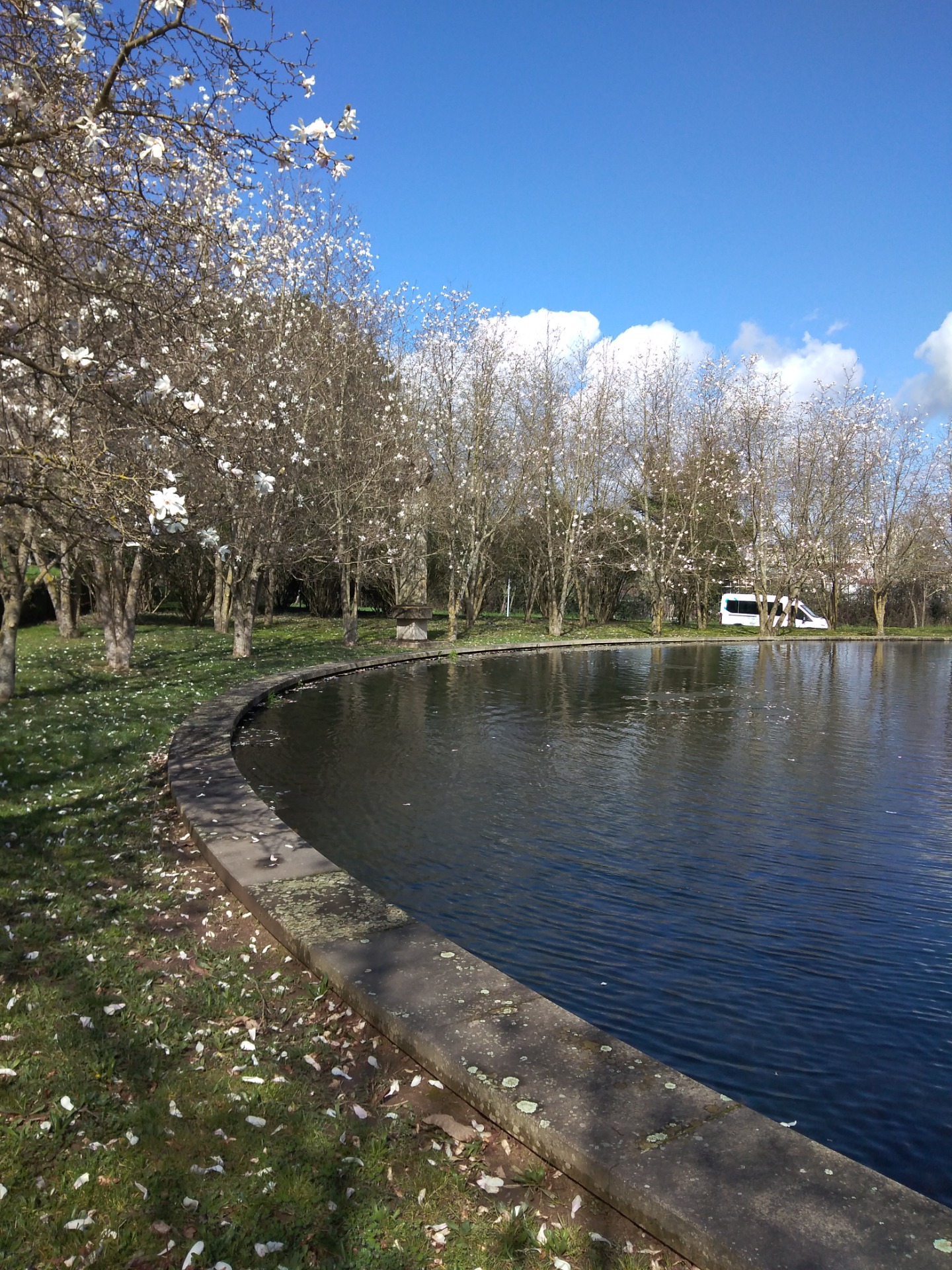 Tranquilidade do Lago. Estefani Ribeiro 2024