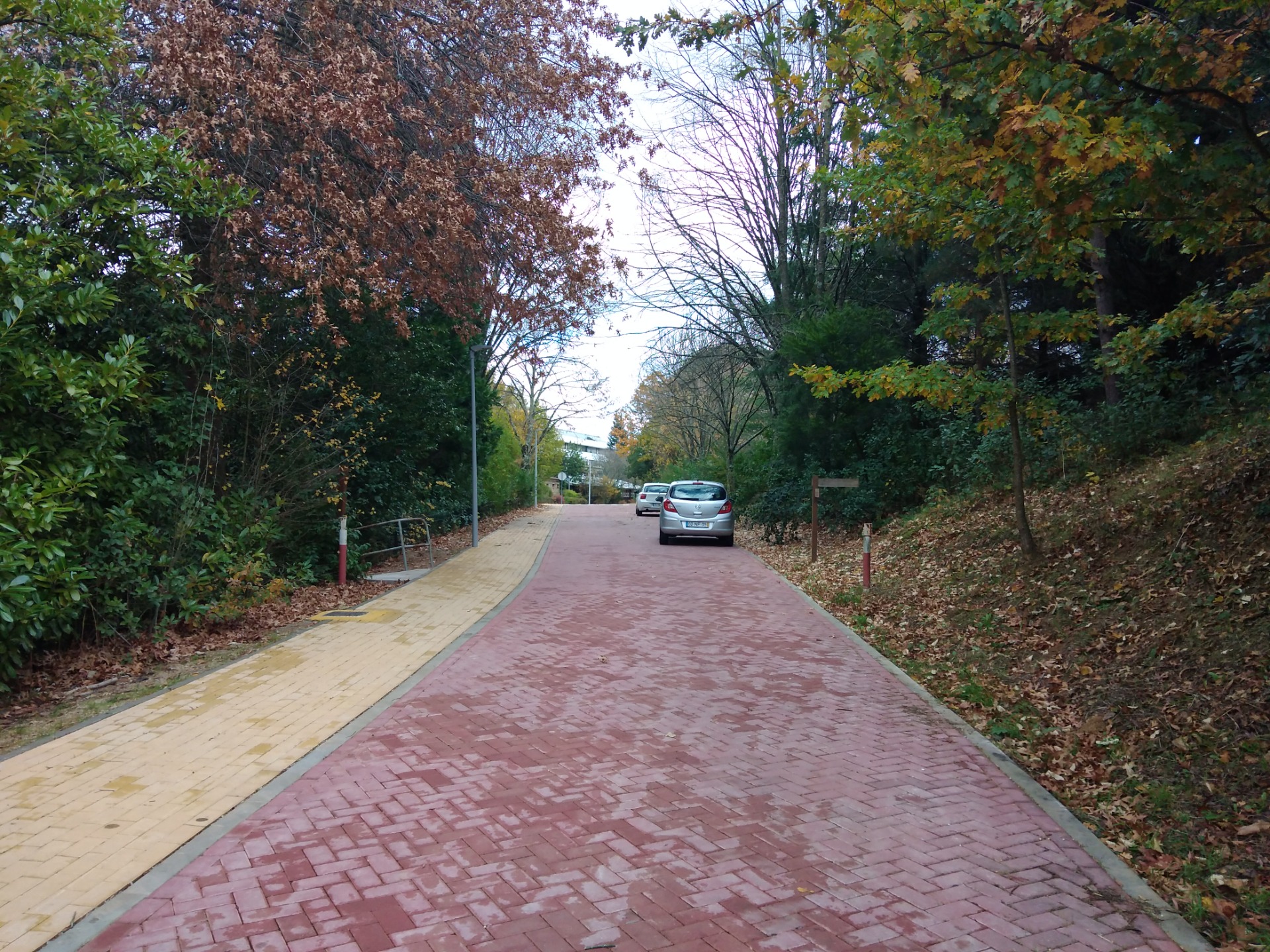 Caminhos da Utad. Estefani Ribeiro 2024